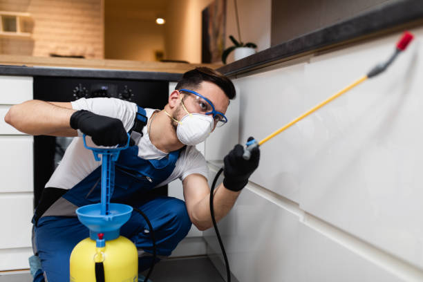 Wasp Removal Services in Hobe Sound, FL