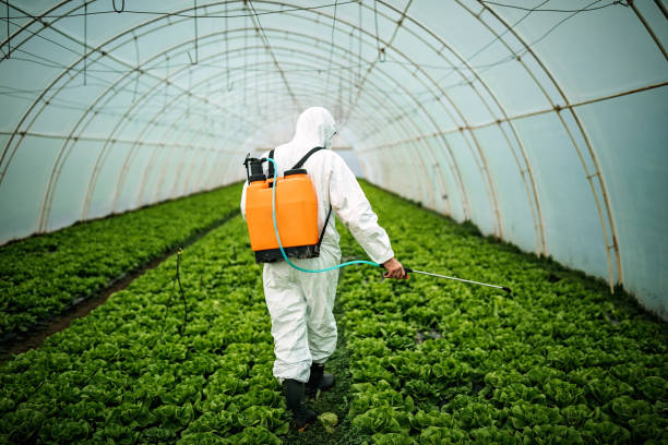 Best Mosquito Control Services  in Hobe Sound, FL
