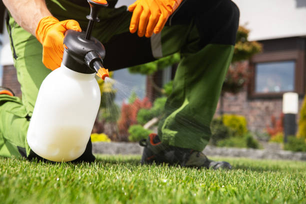 Best Best Pest Control Companies  in Hobe Sound, FL