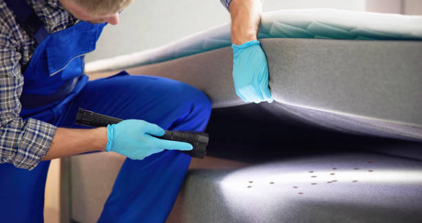 Best Residential Pest Control  in Hobe Sound, FL