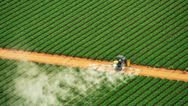 Best Pest Control Near Me in Hobe Sound, FL