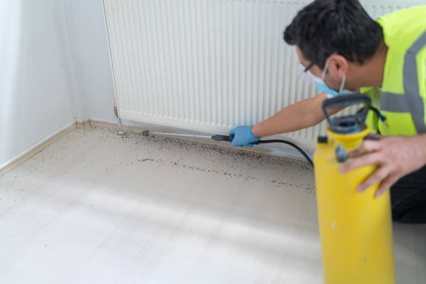 Best Bed Bug Extermination  in Hobe Sound, FL