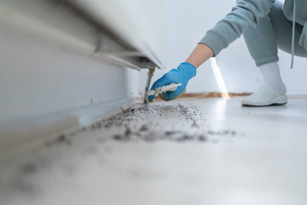 Best Pest Prevention Services  in Hobe Sound, FL