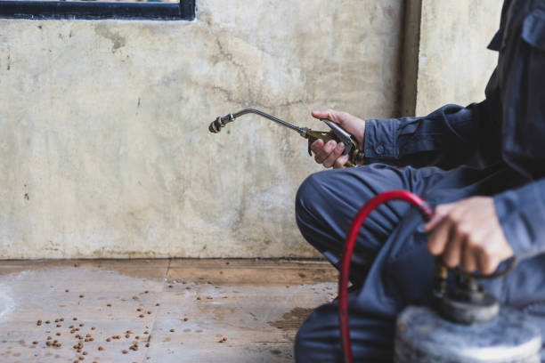 Best Mosquito Control Services  in Hobe Sound, FL